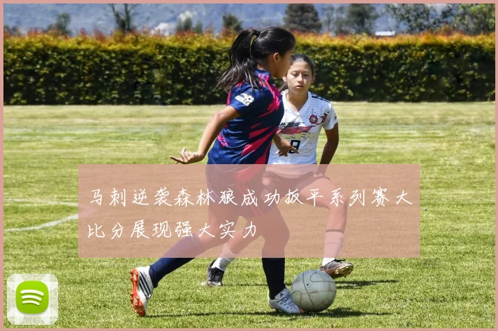 马刺逆袭森林狼成功扳平系列赛大比分展现强大实力