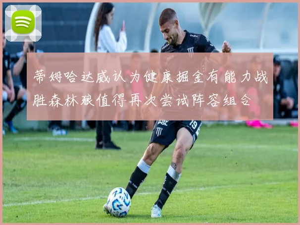 蒂姆哈达威认为健康掘金有能力战胜森林狼值得再次尝试阵容组合