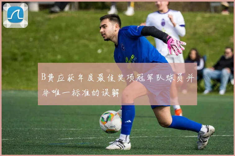 B费应获年度最佳奖项冠军队球员并非唯一标准的误解