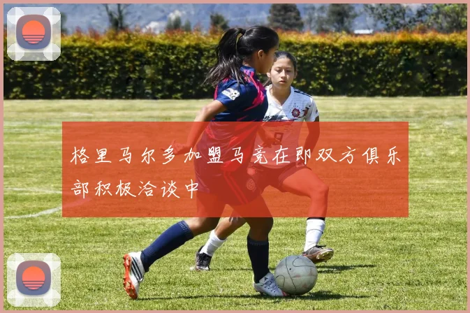 格里马尔多加盟马竞在即双方俱乐部积极洽谈中