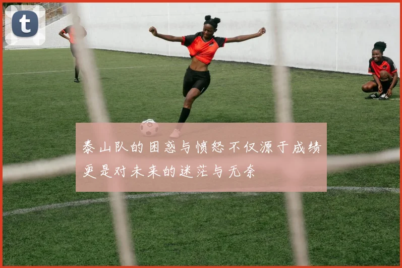 泰山队的困惑与愤怒不仅源于成绩更是对未来的迷茫与无奈
